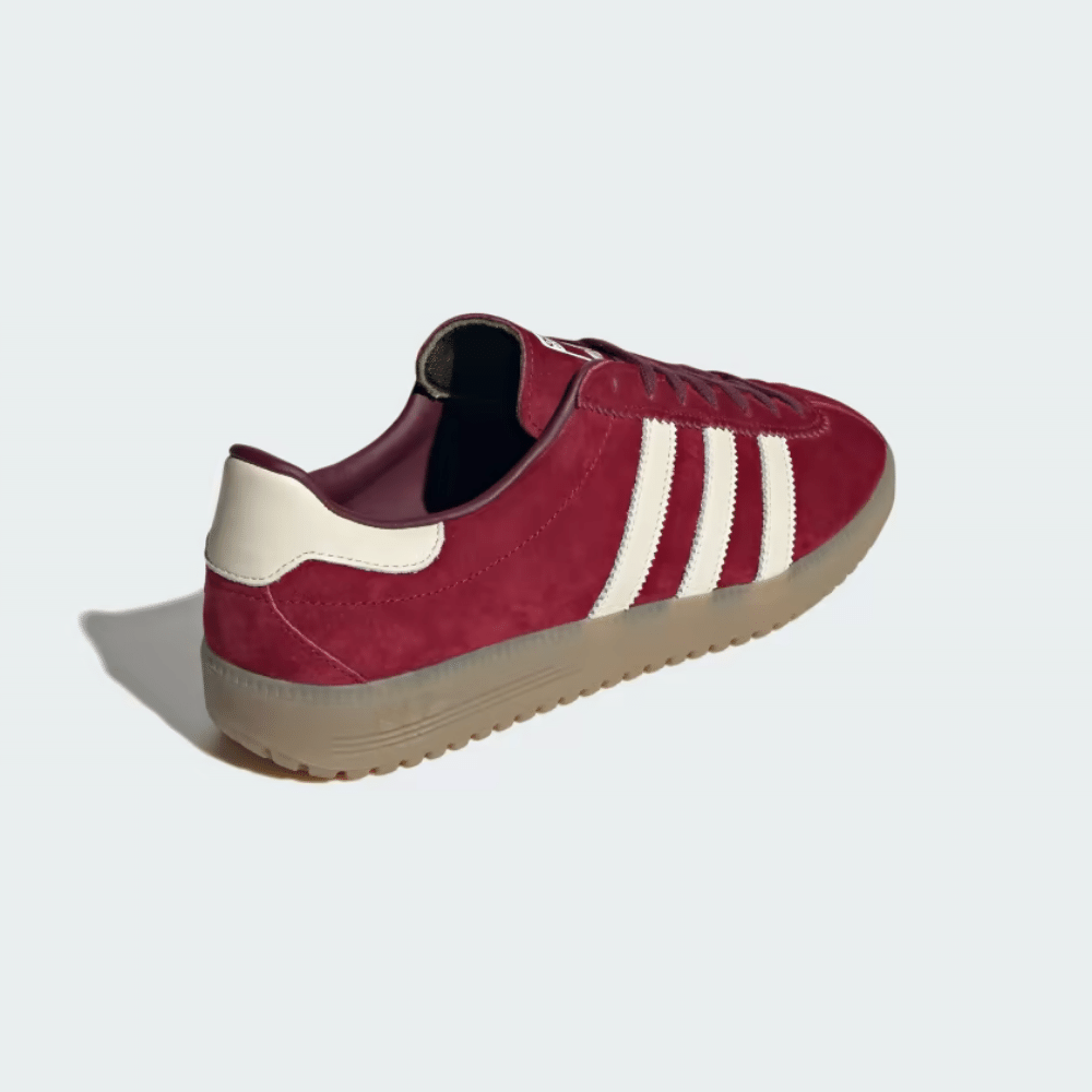 Adidas Bermuda Collegiate Burgundy